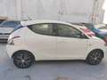 Lancia Ypsilon 1.2 evo II Elefantino Blanco - thumbnail 11