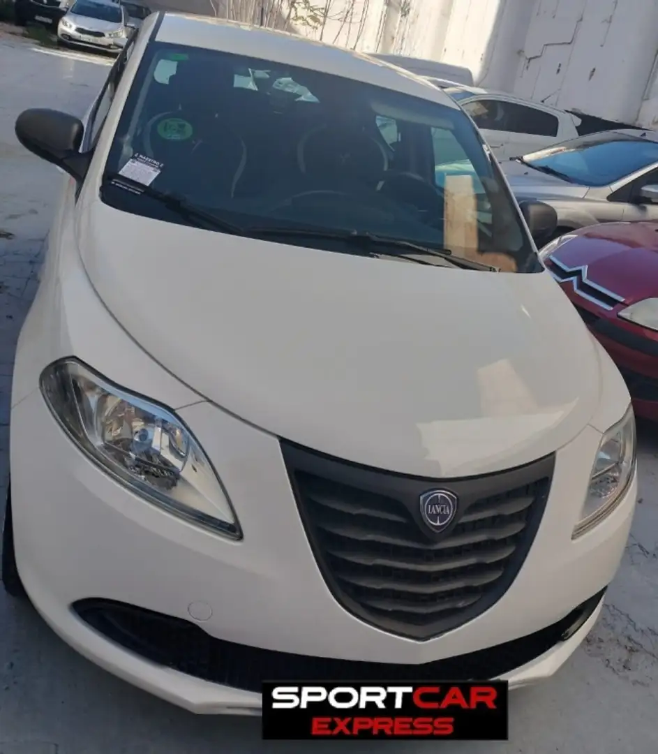 Lancia Ypsilon 1.2 evo II Elefantino Blanco - 2