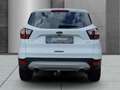 Ford Kuga Titanium EcoBoost KUGA 1.5 Navi Bi-Xenon El. Heckk Biały - thumbnail 6