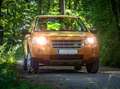 Land Rover Freelander Freelander 2,2 Td4 SE SE Orange - thumbnail 8