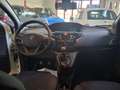 Lancia Ypsilon 1.0 FireFly 5 porte S&S Hybrid Oro - thumbnail 5