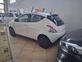 Lancia Ypsilon 1.0 FireFly 5 porte S&S Hybrid Oro - thumbnail 3