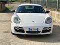Porsche Cayman S 295cv - GARANZIA 12 MESI Blanco - thumbnail 15