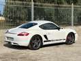 Porsche Cayman S 295cv - GARANZIA 12 MESI Blanco - thumbnail 20