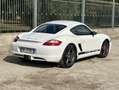 Porsche Cayman S 295cv - GARANZIA 12 MESI Blanco - thumbnail 21