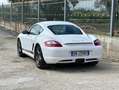 Porsche Cayman S 295cv - GARANZIA 12 MESI Blanco - thumbnail 17