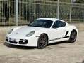 Porsche Cayman S 295cv - GARANZIA 12 MESI Blanco - thumbnail 5