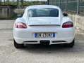 Porsche Cayman S 295cv - GARANZIA 12 MESI Blanco - thumbnail 18