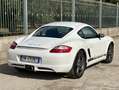Porsche Cayman S 295cv - GARANZIA 12 MESI Blanco - thumbnail 4