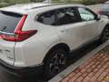 Honda CR-V CR-V 2.0 i-MMD Executive 4x4 Executive Blanco - thumbnail 6