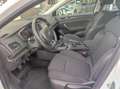 Renault Megane Berlina Zen Blue dCi 85 kW (115 CV) EDC Blanco - thumbnail 13
