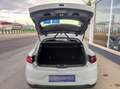 Renault Megane Berlina Zen Blue dCi 85 kW (115 CV) EDC Blanco - thumbnail 12