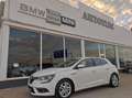 Renault Megane Berlina Zen Blue dCi 85 kW (115 CV) EDC Blanco - thumbnail 5