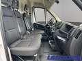 Fiat Ducato L2H2 EU6d 2.2 Multijet DAB Temp Tel.-Vorb. Weiß - thumbnail 9