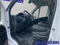 Fiat Ducato L2H2 EU6d 2.2 Multijet DAB Temp Tel.-Vorb. Weiß - thumbnail 12