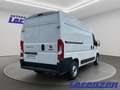 Fiat Ducato L2H2 EU6d 2.2 Multijet DAB Temp Tel.-Vorb. Weiß - thumbnail 5
