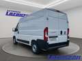 Fiat Ducato L2H2 EU6d 2.2 Multijet DAB Temp Tel.-Vorb. Weiß - thumbnail 7