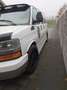 Chevrolet Express Express G1500 benzine en lpg Blanc - thumbnail 2