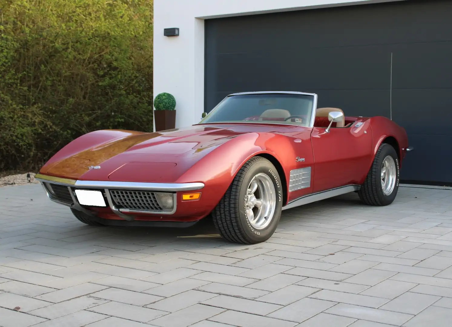 Corvette C3 Stingray - Komplette Historie, L46 Motor Rood - 1