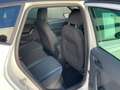 SEAT Arona Arona 1,0 TSI Style DSG Style Weiß - thumbnail 5