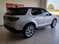 Land Rover Discovery Sport 2.0d td4 mhev SE awd 163cv auto Grigio - thumbnail 5