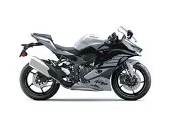 Kawasaki Ninja ZX-4RR Motorcycles & ATVs for Sale | AutoTrader.ca