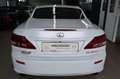 Lexus IS 250 Cabriolet Luxury Line*Voll*belüftete Sitze* Beyaz - thumbnail 8
