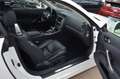 Lexus IS 250 Cabriolet Luxury Line*Voll*belüftete Sitze* Weiß - thumbnail 12