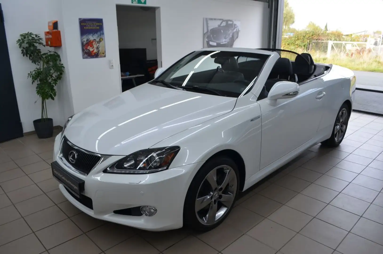 Lexus IS 250 Cabriolet Luxury Line*Voll*belüftete Sitze* Weiß - 2