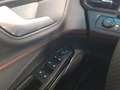 Ford Puma St-Line - 1.0l Mhev EcoBoost 125pk Rouge - thumbnail 24