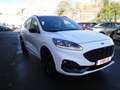 Ford Kuga Kuga 2.5 Duratec FHEV ST-LINE X Weiß - thumbnail 10