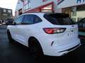 Ford Kuga Kuga 2.5 Duratec FHEV ST-LINE X Weiß - thumbnail 6