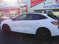 Ford Kuga Kuga 2.5 Duratec FHEV ST-LINE X Weiß - thumbnail 5