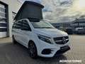 Mercedes-Benz Marco Polo Marco Polo 250 d EDITION +AMG+NIGHT+DISTR.+AIRM. Weiß - thumbnail 10