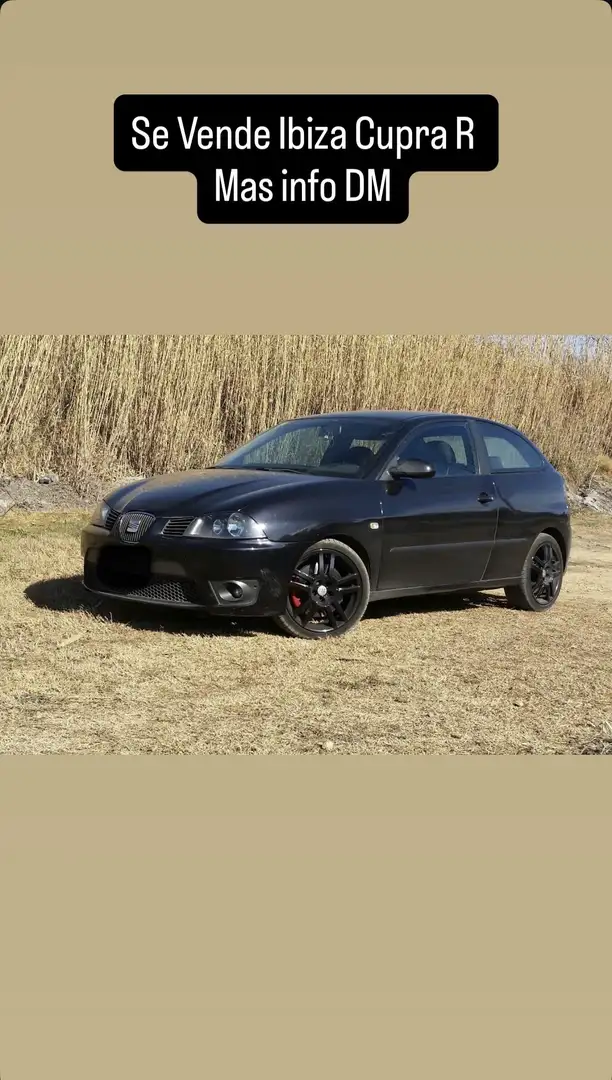 SEAT Ibiza 1.9TDi Cupra 160 - 2