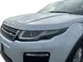Land Rover Range Rover Evoque 2.0 TD4 150 CV 5p. HSE AUTOCARRO Bianco - thumbnail 9