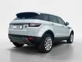 Land Rover Range Rover Evoque 2.0 TD4 150 CV 5p. HSE AUTOCARRO Bianco - thumbnail 5