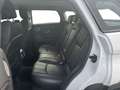 Land Rover Range Rover Evoque 2.0 TD4 150 CV 5p. HSE AUTOCARRO Bianco - thumbnail 12