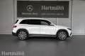 Mercedes-Benz EQB 300 EQB 300 4MATIC AMG Fahrassistenz AHK Klimaautomat Blanc - thumbnail 5
