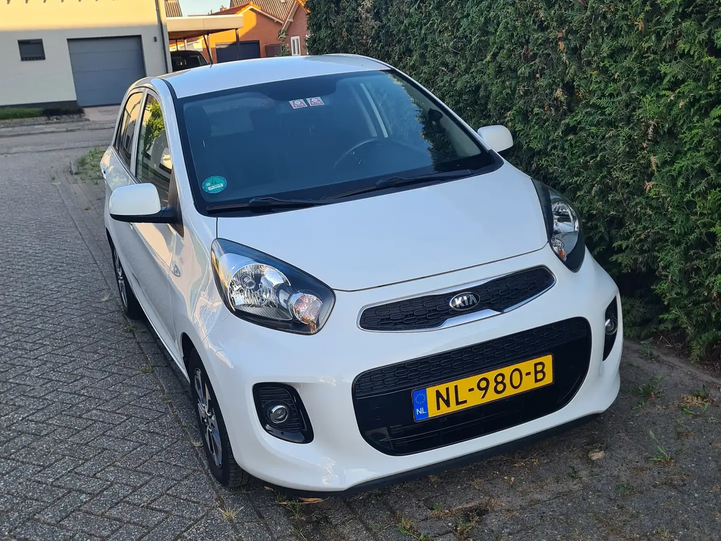 Kia Picanto Picanto 1.0 Cvvt Comfort Plus Line Navigator 5-DRS Biały - 1