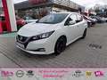 Nissan Leaf Tekna ZE1 MY21 40kWh 150PS Inkl. Wartung in Tekna Weiß - thumbnail 1