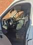 Ford Transit 350 L4H3 Trend HA Allwetter/Klima/AHK/Tempomat Weiß - thumbnail 10