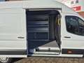 Ford Transit 350 L4H3 Trend HA Allwetter/Klima/AHK/Tempomat Weiß - thumbnail 5