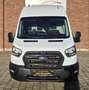 Ford Transit 350 L4H3 Trend HA Allwetter/Klima/AHK/Tempomat Weiß - thumbnail 2