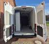 Ford Transit 350 L4H3 Trend HA Allwetter/Klima/AHK/Tempomat Weiß - thumbnail 8