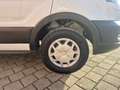 Ford Transit 350 L4H3 Trend HA Allwetter/Klima/AHK/Tempomat Weiß - thumbnail 17