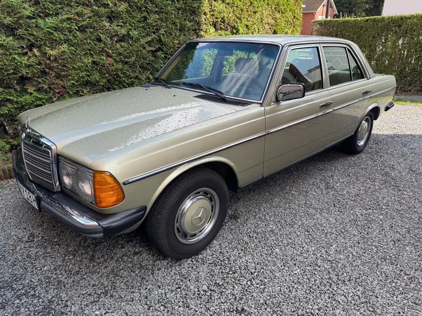 Mercedes-Benz E 230 Oldtimer Beige - 2