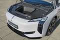 Hongqi EH7 Long Range Launch Edition 111 kWh | 250 KWh Snel l Grau - thumbnail 20