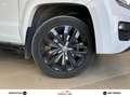 Volkswagen Amarok Amarok I 2017 DC 3.0 V6 Aventura 4motion Perm Auto Bianco - thumbnail 5