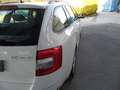 Skoda Octavia Combi 1,6 TDI Ambition Limited  Navi, PDC Weiß - thumbnail 3